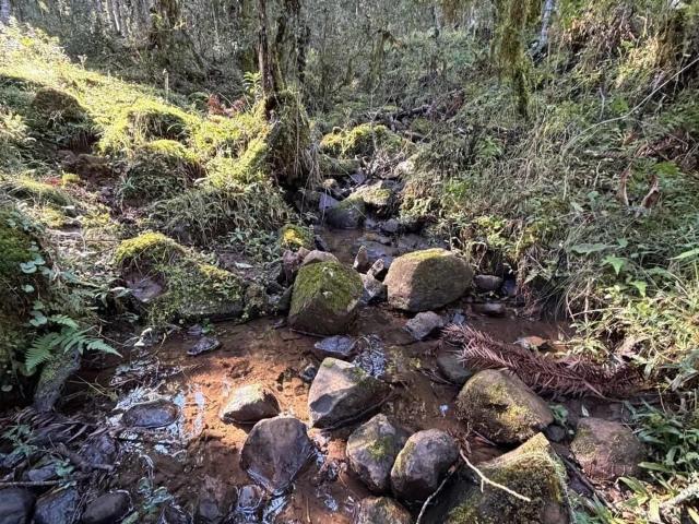 Terreno / Lote para Venda em Urupema/SC Centro