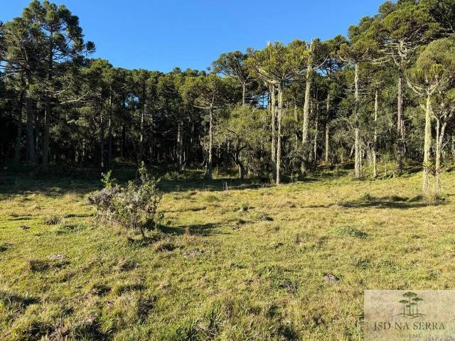 Terreno / Lote para Venda em Urupema/SC Centro