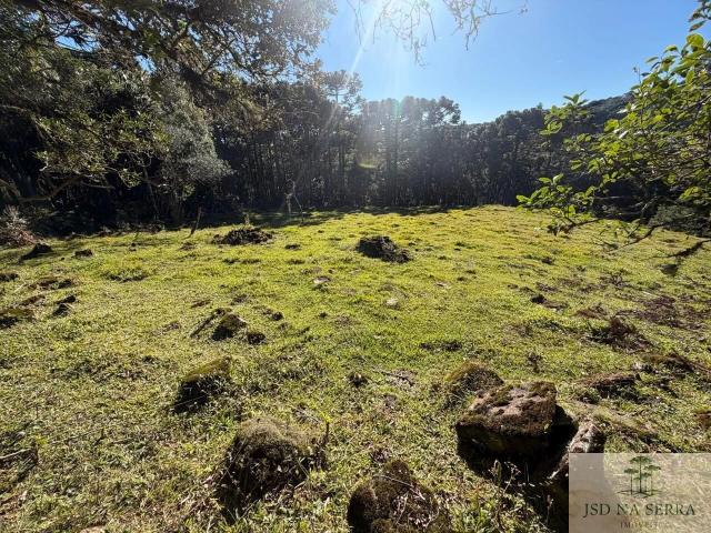 Terreno / Lote para Venda em Urupema/SC Centro