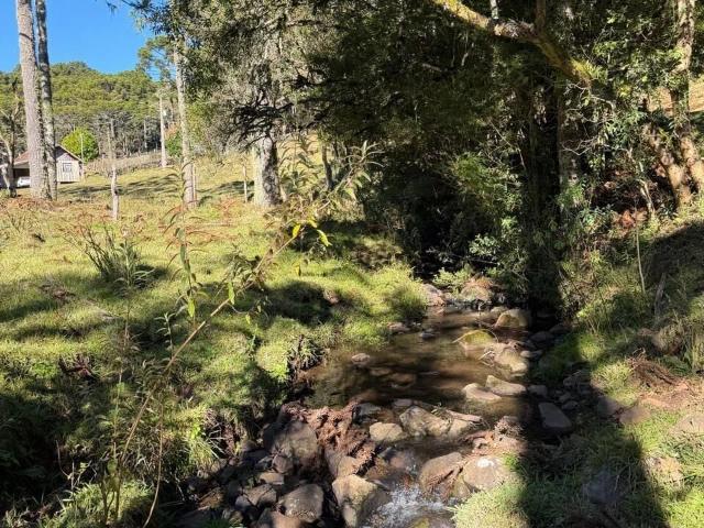 Terreno / Lote para Venda em Urupema/SC Centro