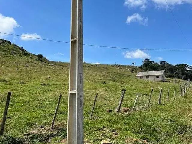 Terreno / Lote para Venda em Urupema/SC Zona Rural