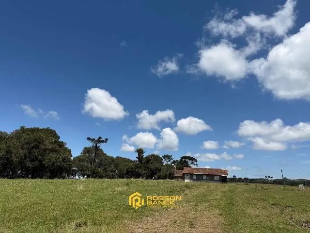 Terreno / Lote para Venda em Urupema/SC Zona Rural