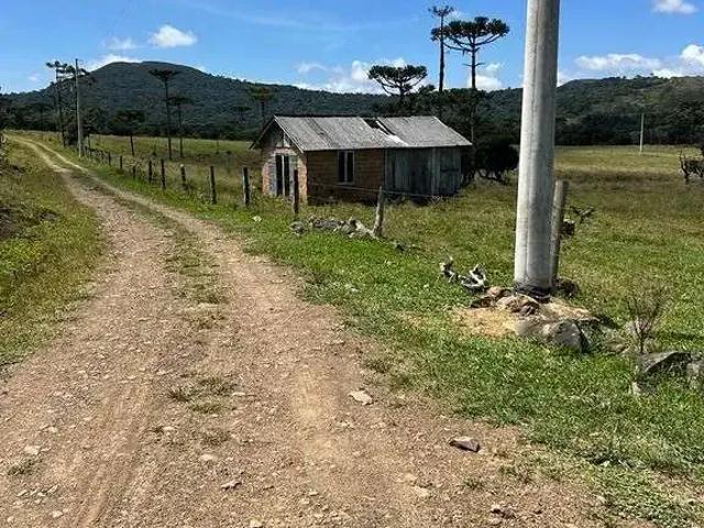 Terreno / Lote para Venda em Urupema/SC Zona Rural