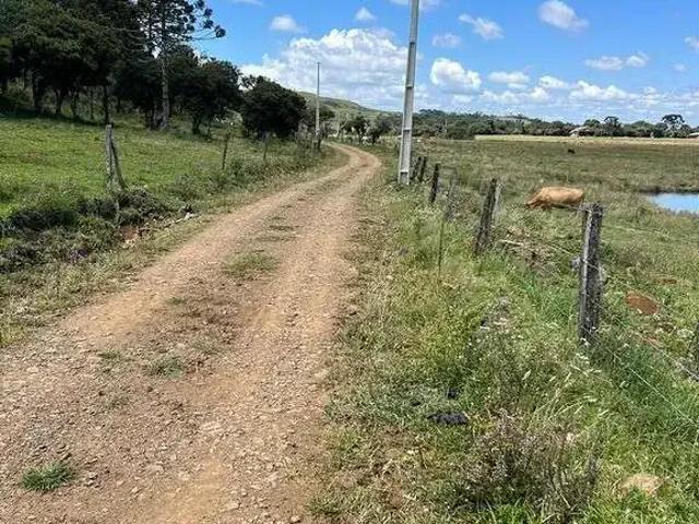 Terreno / Lote para Venda em Urupema/SC Zona Rural