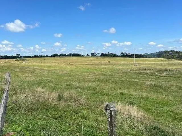 Terreno / Lote para Venda em Urupema/SC Zona Rural