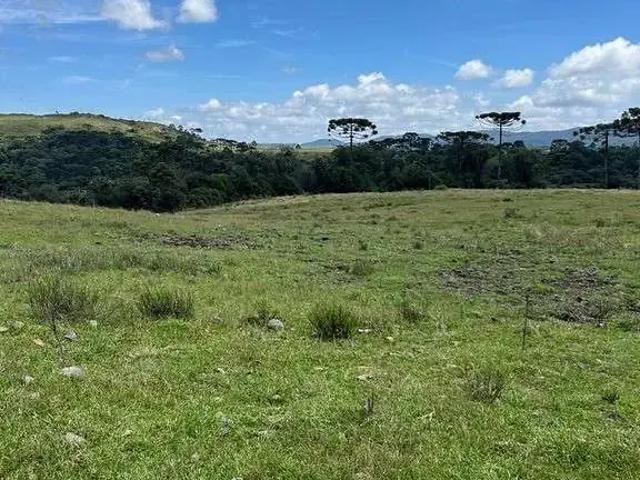 Terreno / Lote para Venda em Urupema/SC Zona Rural