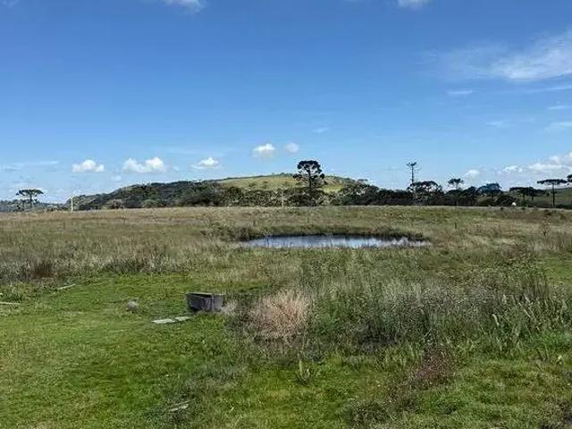 Terreno / Lote para Venda em Urupema/SC Zona Rural