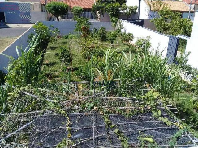 Terreno / Lote para Venda em Urupês/SP Centro
