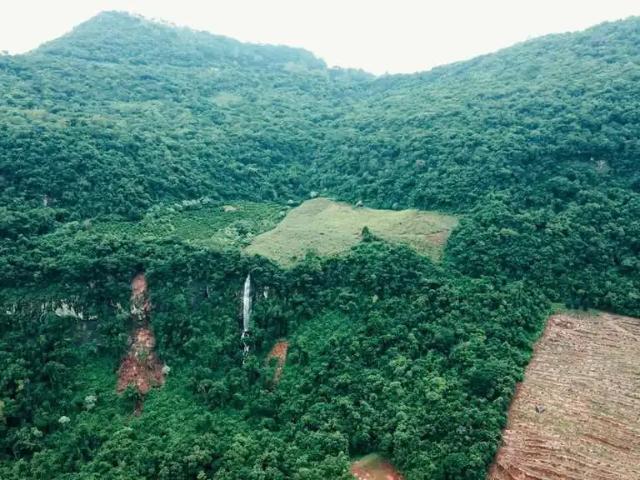Terreno / Lote para Venda em Vale Real/RS Zona Rural