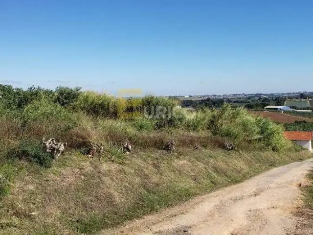 Terreno / Lote para Venda em Valinhos/SP Macuco