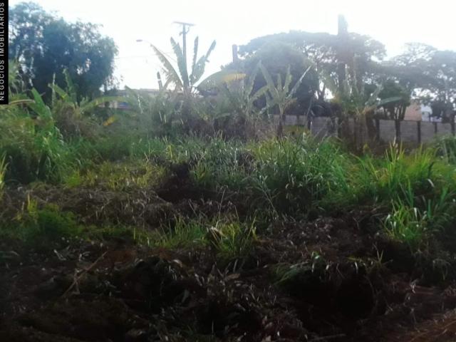 Terreno / Lote para Venda em Valinhos/SP Ortizes
