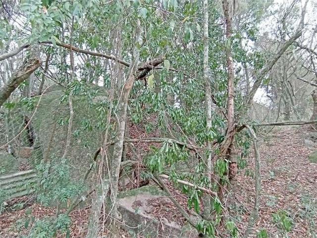 Terreno / Lote para Venda em Valinhos/SP Chácaras Alpina