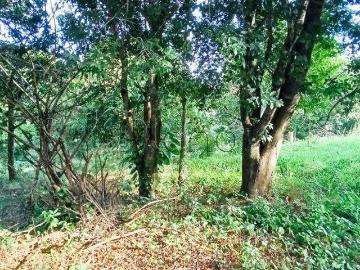 Terreno / Lote para Venda em Valinhos/SP Chácaras São Bento