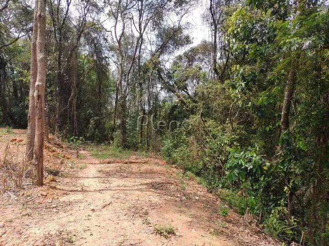 Terreno / Lote para Venda em Valinhos/SP Dois Córregos