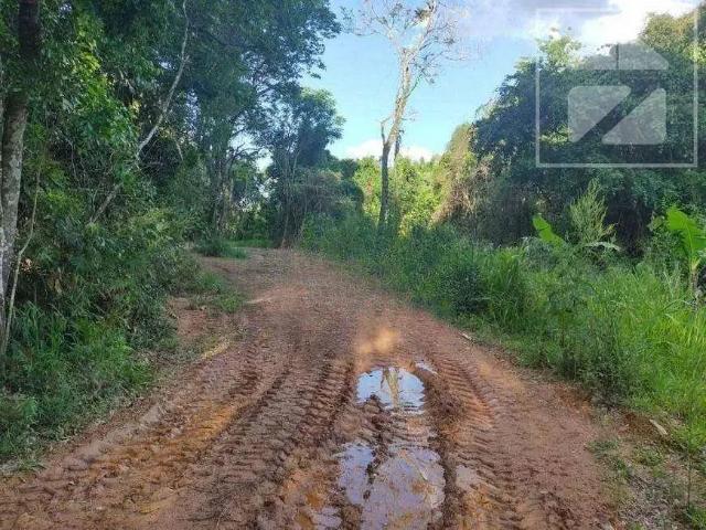 Terreno / Lote para Venda em Valinhos/SP Dois Córregos