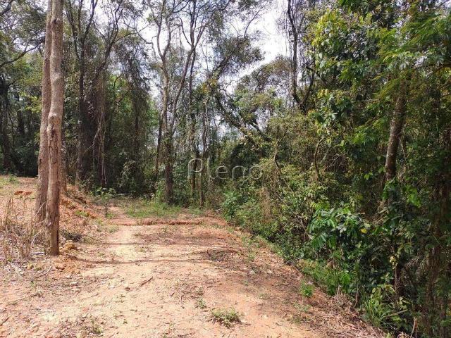 Terreno / Lote para Venda em Valinhos/SP Dois Córregos