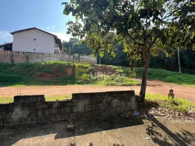 Terreno / Lote para Venda em Valinhos/SP Jardim das Palmeiras