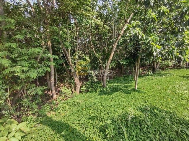 Terreno / Lote para Venda em Valinhos/SP Jardim Jurema