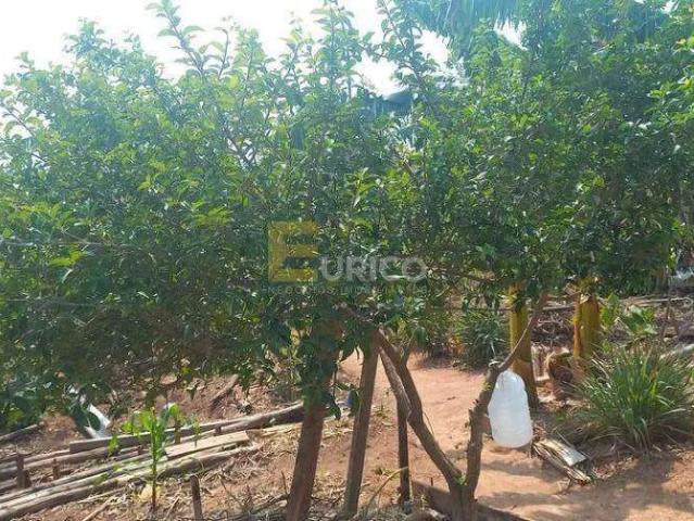 Terreno / Lote para Venda em Valinhos/SP Jardim Maria Rosa