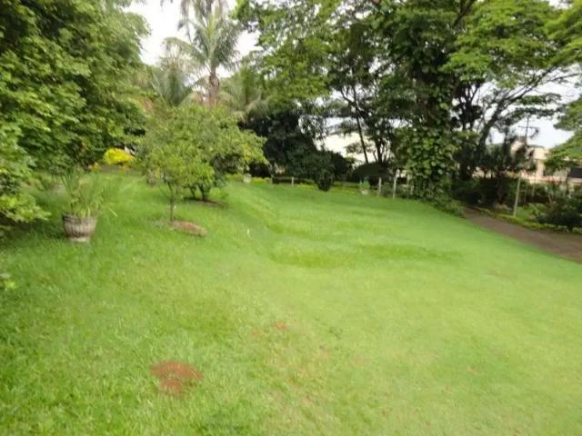 Terreno / Lote para Venda em Valinhos/SP Jardim Paiquerê 1 Quartos