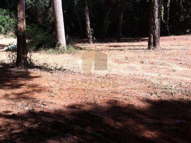 Terreno / Lote para Venda em Valinhos/SP Jardim Portugal