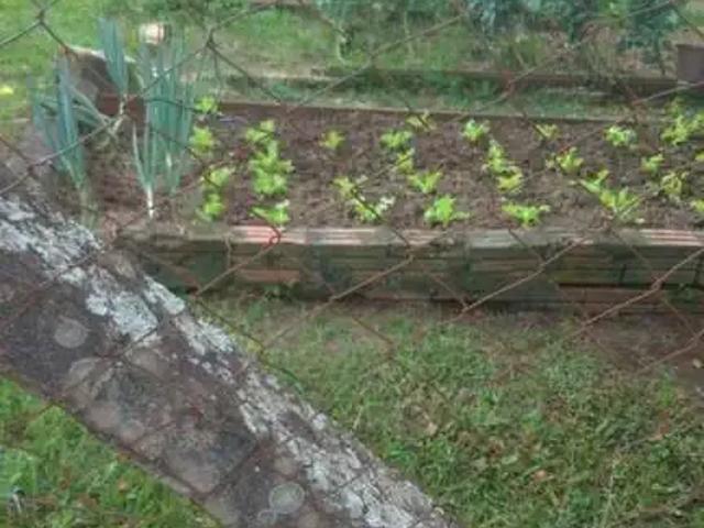 Terreno / Lote para Venda em Valinhos/SP Jardim São Bento do Recreio