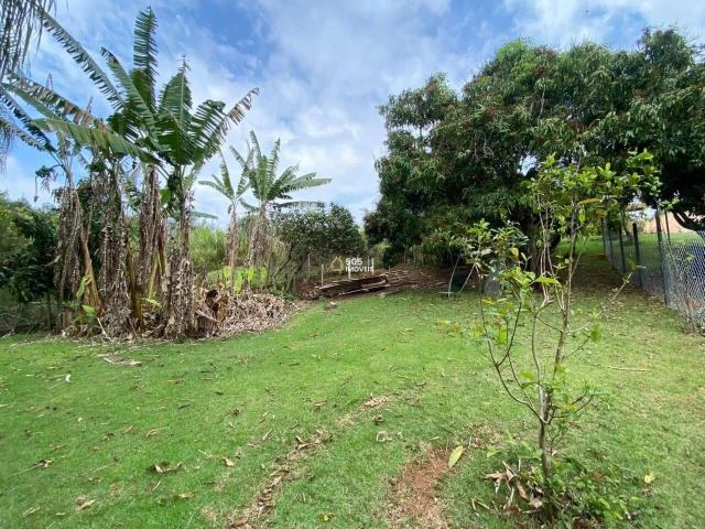 Terreno / Lote para Venda em Valinhos/SP Jardim São Luiz
