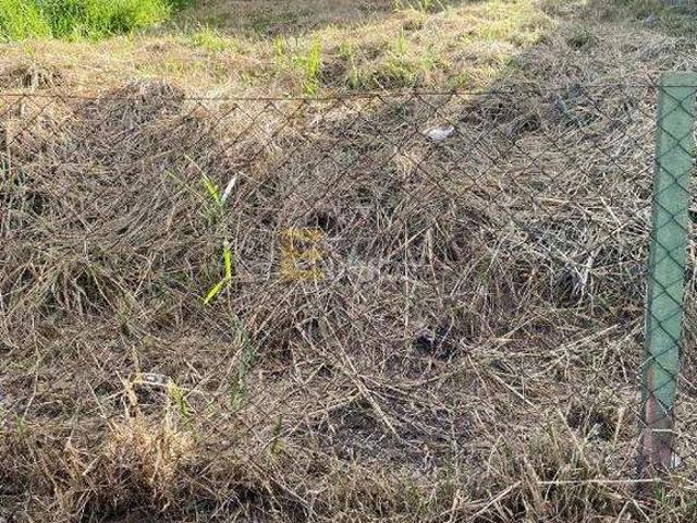 Terreno / Lote para Venda em Valinhos/SP Loteamento Residencial Ana Carolina