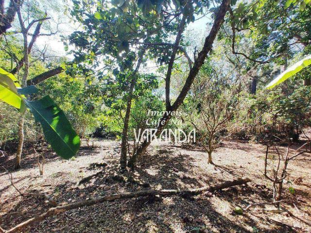 Terreno / Lote para Venda em Valinhos/SP Parque Valinhos