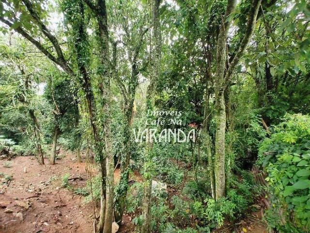 Terreno / Lote para Venda em Valinhos/SP Parque Valinhos
