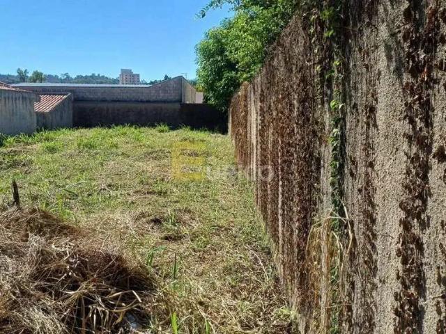 Terreno / Lote para Venda em Valinhos/SP Vila Franceschini