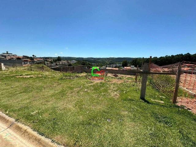 Terreno / Lote para Venda em Valinhos/SP Vila Pagano