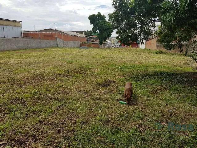 Terreno / Lote para Venda em Várzea Grande/MT Centro Sul 2 Quartos