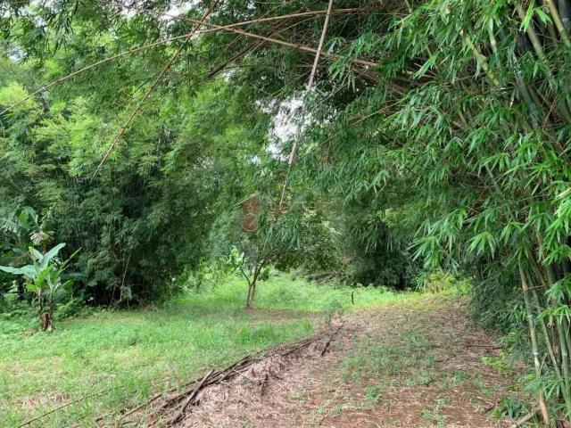 Terreno / Lote para Venda em Várzea Paulista/SP Vila Jeriva