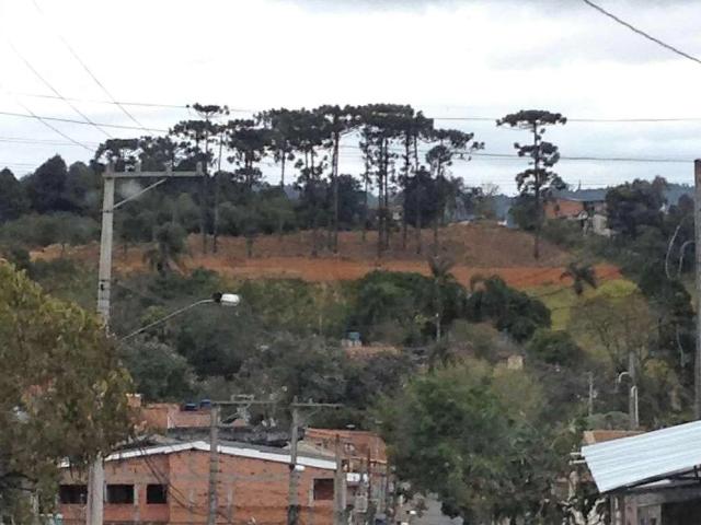 Terreno / Lote para Venda em Vargem Grande Paulista/SP Centro