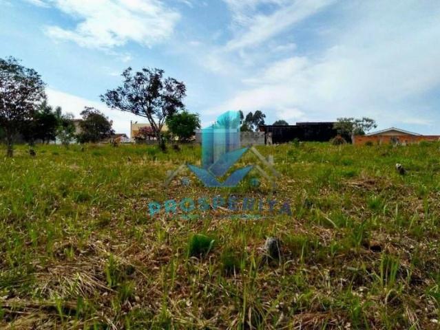 Terreno / Lote para Venda em Vargem Grande Paulista/SP Centro