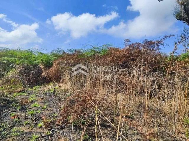 Terreno / Lote para Venda em Vargem Grande Paulista/SP Parque do Agreste