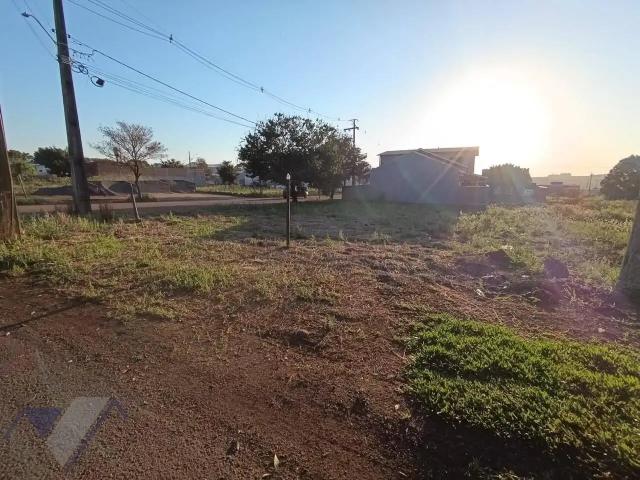 Terreno / Lote para Venda em Vera Cruz do Oeste/PR Centro