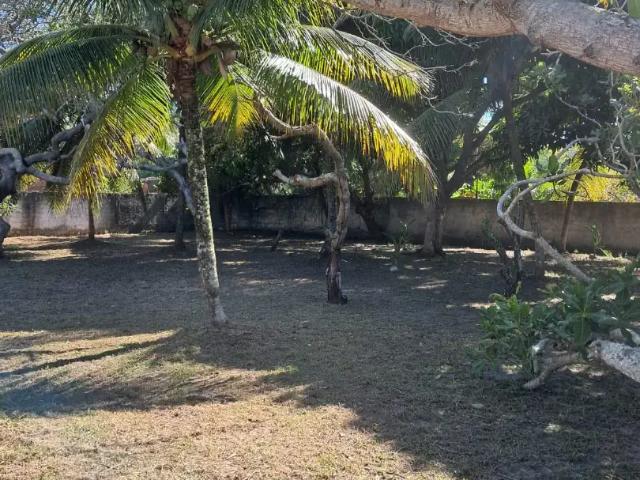 Terreno / Lote para Venda em Vera Cruz/BA Aratuba