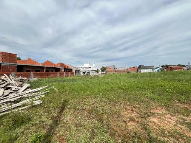 Terreno / Lote para Venda em Vera Cruz/RS Centro