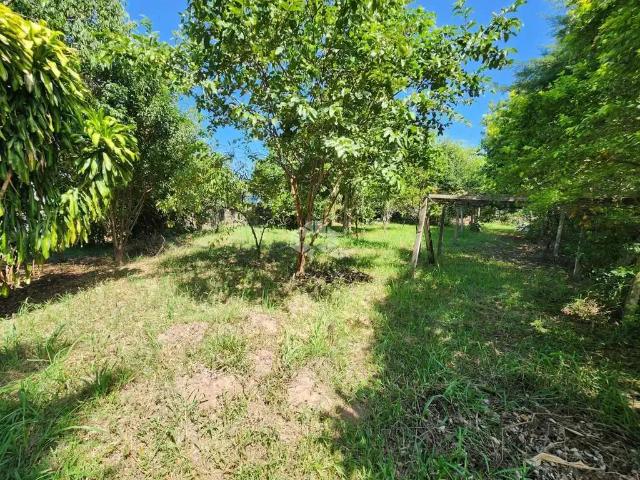 Terreno / Lote para Venda em Vera Cruz/RS Centro