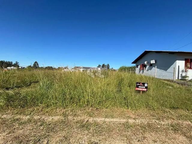 Terreno / Lote para Venda em Vera Cruz/RS Centro