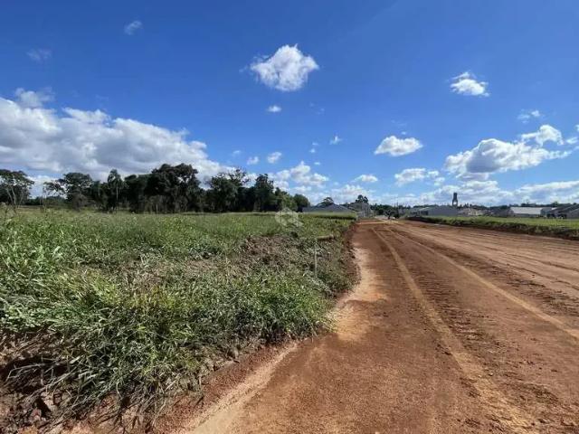 Terreno / Lote para Venda em Vera Cruz/RS Centro