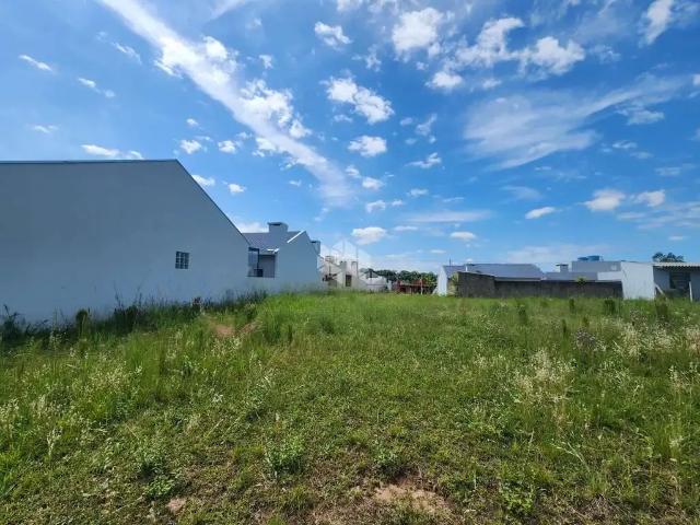 Terreno / Lote para Venda em Vera Cruz/RS Centro