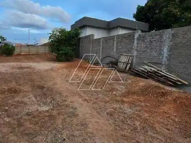 Terreno / Lote para Venda em Vera Cruz/SP Centro