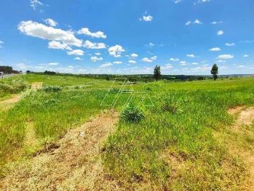Terreno / Lote para Venda em Vera Cruz/SP Centro