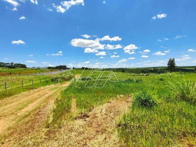 Terreno / Lote para Venda em Vera Cruz/SP Centro