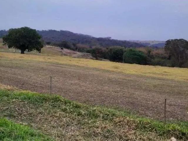 Terreno / Lote para Venda em Vera Cruz/SP Centro