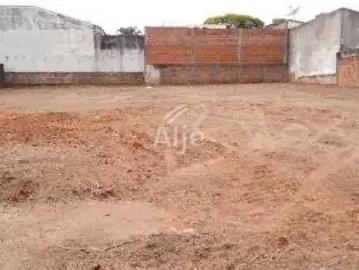 Terreno / Lote para Venda em Vera Cruz/SP Lorenzetti