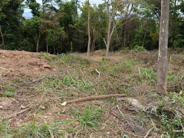 Terreno / Lote para Venda em Vespasiano/MG Bernardo de Souza